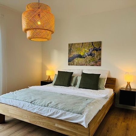 Moderne Ferienwohnung Mit Terrasse, Grill & Privatparkplatz Venningen المظهر الخارجي الصورة